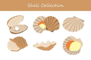 Set of seashells in flat design style. Vector illustration.