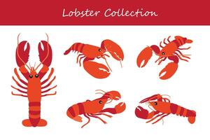 lobster vector illustration set. Cute lobster isolated on white background.