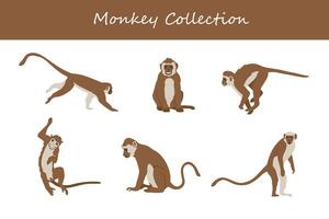 monkey vector illustration set. Cute monkey isolated on white background.