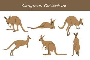 kangaroo vector illustration set. Cute kangaroo isolated on white background.