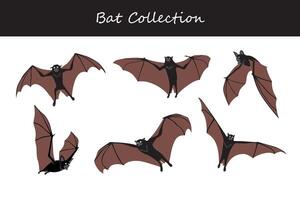 bat vector illustration set. Cute bat isolated on white background.