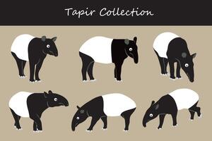 tapir vector illustration set. Cute tapir isolated on white background.