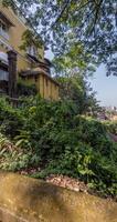 boucle 360 rotation sur vieux béton escalier, restes de un ancien plus développé civilisation dans jungles de Inde video