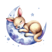 AI generated kangaroo sleeping on the moon png