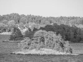 baltic sea in sweden photo