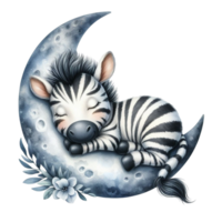 AI generated cartoon zebra sleeping on the moon with stars png