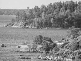 baltic sea in sweden photo