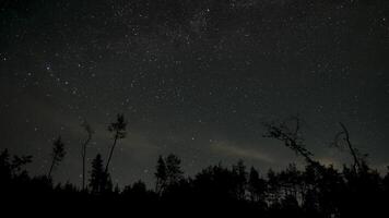 Timelapse of moving stars and clouds in night sky. Dawn over the forest. 4K video