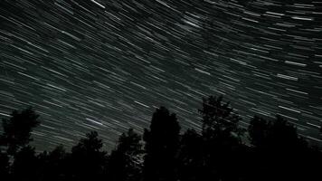 tijd vervallen van ster trails in de nacht lucht. silhouetten van bomen 4k video