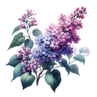 AI generated beautiful flowers spring png