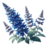 AI generated beautiful flowers spring png