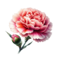 AI generated beautiful flowers spring png