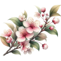 AI generated beautiful flowers spring png