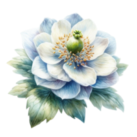 AI generated beautiful flowers spring png