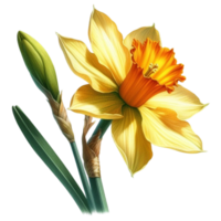 AI generated beautiful flowers spring png