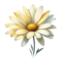 AI generated beautiful flowers spring png