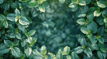 AI generated Close Up of a Green Plant With Leaves photo