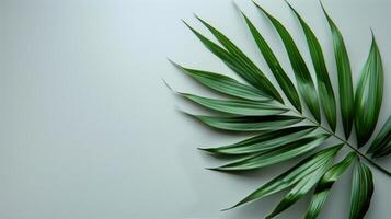 AI generated Close-Up of a Green Leaf on White Background photo