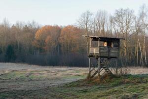 AI generated Hunting lookout at the edge of the forest photo