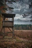 AI generated Hunting lookout at the edge of the forest photo