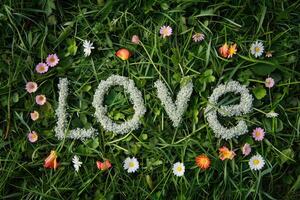 AI generated White love text on green floral background photo