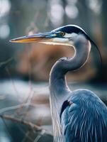 AI generated Great blue heron by the lake photo