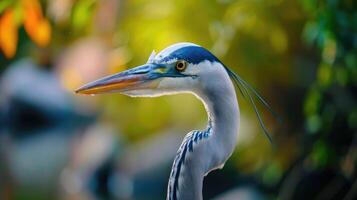 ai generado genial azul garza por el lago foto