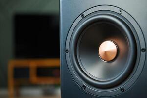 Sound speaker in living room interior photo