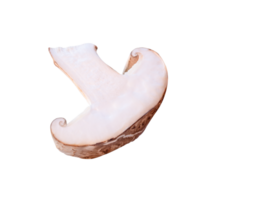 Front view of shiitake mushroom half isolated with clipping path in png file format