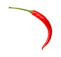 Top view of curved red chili pepper isolated with clipping path in png file format