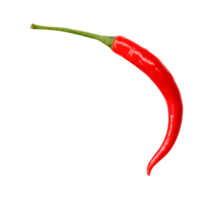 oben Aussicht von gebogen rot Chili Pfeffer isoliert mit Ausschnitt Pfad im png Datei Format