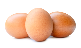 Front view of three fresh chicken eggs in stack isolated with clipping path and shadow in png file format