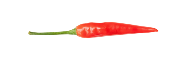 Top view and flat lay of single fresh red chili pepper isolated with clipping path in png file format
