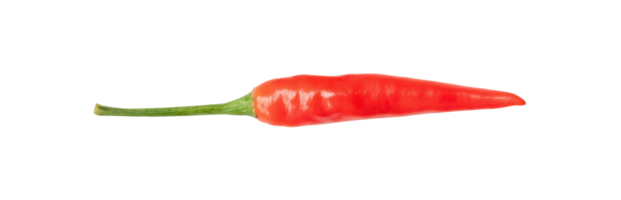 superiore Visualizza e piatto posare di singolo fresco rosso chili Pepe isolato con ritaglio sentiero nel png file formato