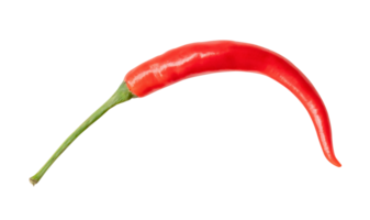 Top view and flat lay of single fresh red curved chili pepper isolated with clipping path in png file format