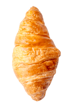 parte superior ver de soltero cuerno aislado con recorte camino en png archivo formato