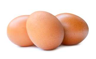 Front view of fresh chicken eggs in stack isolated with clipping path and shadow in png file format