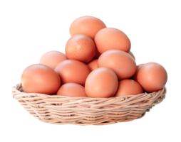 Front view of fresh chicken eggs in woven bamboo basket isolated with clipping path in png file format