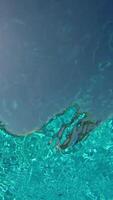 Beautiful Waves on Blue Abstract Water Surface video