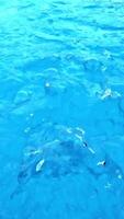lindo ondas em azul abstrato água superfície video