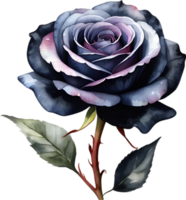 AI generated Watercolor painting of Rose. png