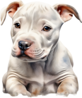 AI generated watercolor painting of a cute Pitbull. png