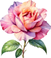 AI generated Watercolor painting of Rose. png
