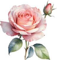 AI generated Watercolor painting of Rose. png