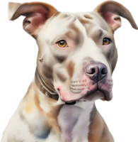 AI generated watercolor painting of a cute Pitbull. png
