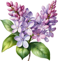 ai generiert Aquarell Gemälde von verbreitet lila Blume. png