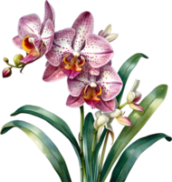 ai generiert Aquarell Gemälde von Leopard Orchidee Blume. png