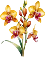 ai gerado aguarela pintura do leopardo orquídea flor. png
