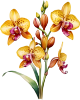 ai generiert Aquarell Gemälde von Leopard Orchidee Blume. png