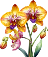 ai generiert Aquarell Gemälde von Leopard Orchidee Blume. png